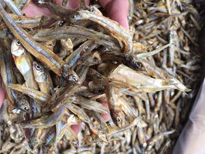 Pescado salado y seco Anchoa Hervida Sin cabeza Secado Envase de embalaje Buen precio Playa - Product Image 4