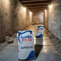 Isonem MS 20 Plâtre Capillaire Résistant à l'Eau pour Isolation des Murs Endommagés, Enduit Anti-Humidité en Ciment - PRIX NÉGOCIALE