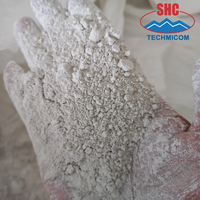 Harga Pabrik Bubuk Kapur Tawar 90%-97% CaO 180-200 Mesh untuk Pertambangan Emas, Nikel, Pengolahan Air Limbah, Asal Vietnam |   Grup SHC