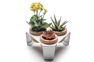 Jardinière de plantes succulentes en bois moderne, support en métal blanc, support pour décor de bureau, présentoir européen pour plantes de bureau - Product Image 5