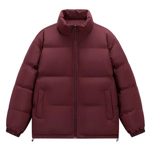 Veste en coton rembourrée de haute qualité pour hommes, coupe-vent à capuche et col montant, parka courte à la mode pour l'automne et l'hiver, manteau coupe-vent - Product Image 1