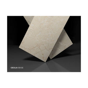 Vente chaude 600X1200MM Intérieur Design Moderne Carreaux De Sculpture En Porcelaine 5mm Épaisseur pour Planchers De Cuisine Directement De L'exportateur Indien - Product Image 3