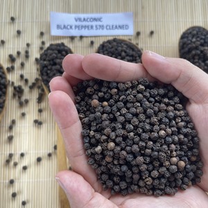FAQ/ASTA/CLEANED Meilleures ventes Poivre noir entier pur Herbes et épices uniques du Vietnam / ANNA DO VILACONIC - Product Image 6