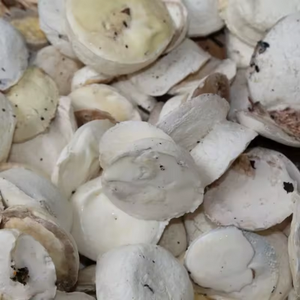 Látex de Caucho Natural en Grano, Líquido Crudo, Calidad de Exportación, Proveedor Mayorista - Product Image 2