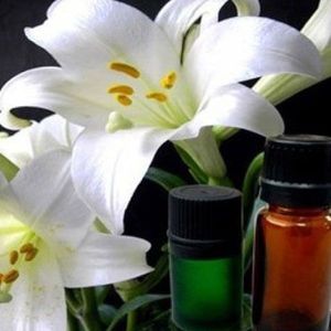 Aceite de lirio blanco natural puro 100% disponible a los mejores precios competitivos y tamaño de paquete de 25kg y 180kg - Product Image 1