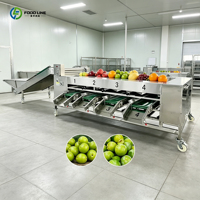 Automatisch Citrus Appel Peer Sorteersysteem Fruit- en Groente Sorteermachine
