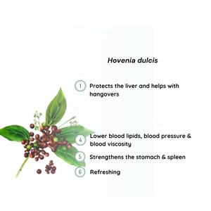 Ekstrak ramuan alami, bubuk jempol Semen Hoveniae/Hovenia Dulcis/Hovenia Dulcis - Product Image 5