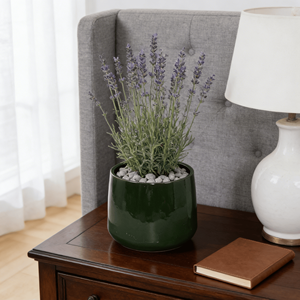 Juego de Macetas de Cerámica Verde Antiguo Mdj, 4 Piezas, Redondas, para Jardín Interior y Exterior, Estilo Americano, Diseño Moderno - Product Image 3