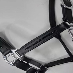Personalizado Shimmer Rock Crystals acolchado cuero caballo Halter headcollar tamaños personalizados cuero genuino Halter caballo - Product Image 2