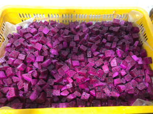 Suministro de exportación de fruta del dragón congelada desde Vietnam, que ofrece un procesamiento limpio, una apariencia uniforme y un uso eficiente para las industrias alimentarias. - Product Image 4