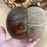 Proveedor de Vietnam, Portavelas de Cáscara de Coco Natural de Alta Calidad, Recipiente Decorativo para el Hogar con Capa Impermeable, Venta al Por Mayor