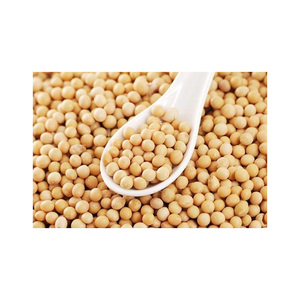 Sac de 50kg germination et graines de soja jaune sec de qualité alimentaire soja non OGM - Product Image 1
