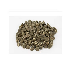 Vente en gros d'usine Graines de moringa naturelles Biologiques Graines de moringa pures - Product Image 2