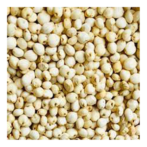 Graines de sorgho blanc de qualité supérieure Vente en gros Fabricant de haute qualité Nouveau meilleur matériel Avec des tarifs bon marché - Product Image 3