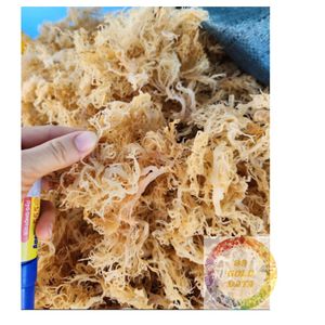 Algues marines séchées naturelles du Vietnam, Eucheuma Cottonii de haute qualité pour la production de carraghénane et l'approvisionnement en ingrédients - Product Image 1