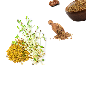 Alfalfa | Alimento verde rico en nutrientes para ganado comercial - Product Image 4