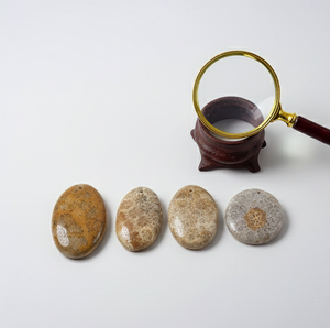 Lote de Cabujones de Coral Natural, Cristal Pulido, Piedras Preciosas Mixtas a Granel, Piedras de Coral de Primera Calidad Ideales para la Fabricación de Joyas - Product Image 1