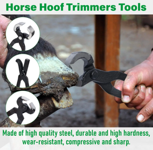 Kit d'outils de maréchal-ferrant professionnel 8 pièces tondeuses à sabots de cheval pour vétérinaires et cavaliers outils vétérinaires en acier inoxydable - Product Image 2