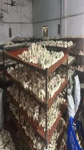 Friandises à mâcher au lait de calcium pour chiens, saveur lait, complément alimentaire biologique, longue durée, dents plus fortes, os, soins de santé pour animaux de compagnie, haute teneur en protéines - Product Image 6