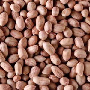 Arachides brutes séchées biologiques de qualité supérieure 38 42 gros grains riches en protéines qualité huile qualité d'exportation emballées hygiéniquement sac en vrac de 25 kg - Product Image 1