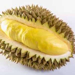 Vietnam Fresh Monthong Durian Calidad Premium 5kg 30cm De Vietnam - Product Image 4