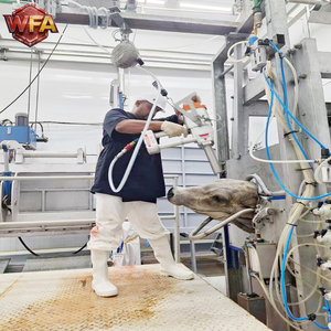Équipement complet pour lignes d'abattage de bovins, machine d'abattage de vaches, machinerie de boucherie de taureaux, équipement de transformation de la <span class=keywords><strong>viande</strong></span> de bœuf, dispositif ISO 9001 - Product Image 6