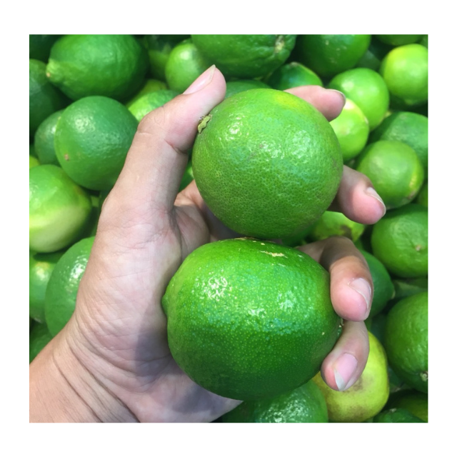 Vietnam Lime Export Juicy Green Lemon Fresh Seedless Citrus Fruit for Juice Cooking Pickle Wholesale Supplier