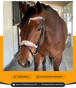 Irst-riel de aleación de aluminio para reducción de peso, herramienta de nivelación de aleación de aluminio, de diferentes colores - Product Image 2