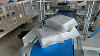 Machine d'emballage automatique de serviettes hygiéniques |   20-23 Sacs/Min |   Équipement d'emballage stable pour sacs en tissu