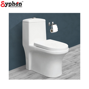 Giá cả cạnh tranh Chất lượng cao gốm vệ sinh nhà sản xuất của tầng gắn một mảnh nước nhà vệ sinh tủ quần áo từ Ấn Độ - Product Image 1