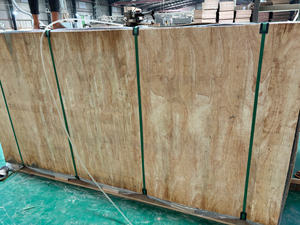 Contrachapado de álamo de alta densidad de fabricante vietnamita, el mejor precio, 12/15/18mm de espesor para almacén, comedor, sala de estar y dormitorio - Product Image 6