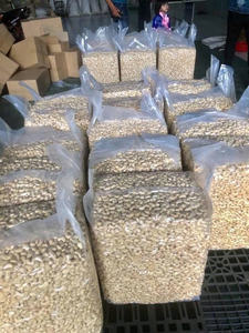 Premium Cashew <b>Nut</b> SP/LP/W180/W240/W320 with Factory Price - Product Image 6