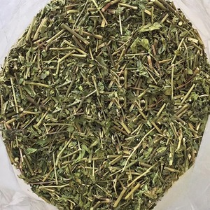 ใบคลินาแอนธัส นูแทนส์ แห้งธรรมชาติ 100% / หญ้างูซาบาห์ / ต้นงู สำหรับชาสมุนไพร - Product Image 6