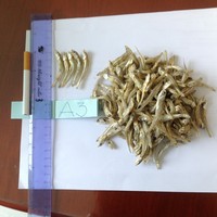 100% petits anchois séchés naturels poisson fruits de mer célèbres du Vietnam forme de pièce conservée au sel/Mme Lima