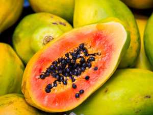 Cheapest Price - FROZEN <strong>PAPAYA</strong> TROPICAL <strong>FRUIT</strong> - Natural Sweet From MEKONG DELTA VIETNAM - Product Image 6