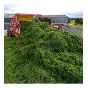 Heno de Alfafa de alta calidad para alimentación animal/alimentación de heno de alfalfa Hierba de heno de alfalfa de alta calidad para alimentación de ganado en cantidad a granel - Product Image 3