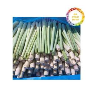 Hierba de Limón Congelada de Vietnam, Procesada con Cuidado por IQF para Exportación a Granel, Ideal para Grandes Pedidos y Compras al por Mayor - Product Image 6