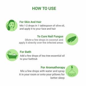 Usine en gros meilleure huile d'arbre à thé biologique d'aromathérapie 100% huile essentielle pure pour les soins des cheveux et de la peau pour shampooing capillaire OEM - Product Image 2