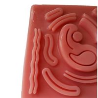 Modèle de chirurgie laparoscopique Science médicale de laboratoire Modèle simulé de suture abdominale pour équipement éducatif