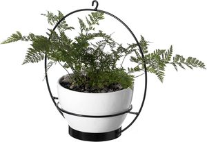 Metal Hanging <b>Planter</b> for Balcony Garden and Home Decor Ideal for Indoor <b>Outdoor</b> Plants and Flower Pot Display Design - Product Image 4