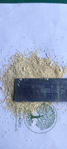 Meilleures ventes : Racine d'Ashwagandha fraîche coupée en T (Withania Somnifera) mélangée pour infusions aux herbes – Sachet en vrac – Thé santé spécialisé - Product Image 2