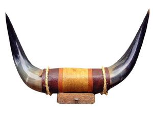 Decoración de pared de par de búfalo y vaca montada en la pared de cuerno de animal pulido moderno - Product Image 2