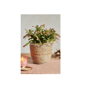 Jardinières en filet de rotin en fer faites à la main Design personnalisé Pots de fleurs d'intérieur et d'extérieur Jardinière à noyau décoratif - Product Image 1