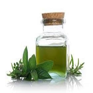 Huile de menthe poivrée biologique naturelle pure à vendre à des prix raisonnables pour l'exportation dans le monde entier - Product Image 6