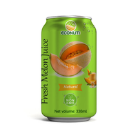Vente en gros de canettes élégantes de 330 ml de soda au melon vert gazeux faible en gras, emballage en boîte, prix usine, exportation