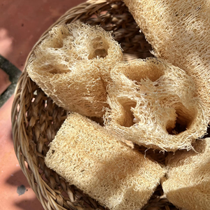 Safimex ชุดเครื่องขัดรังบวบออร์แกนิกเป็นมิตรกับสิ่งแวดล้อม6แพ็คใช้สำหรับเพาะกายปลูกในฟาร์มจากเวียดนาม - Product Image 1