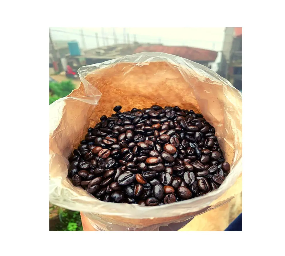 Spezialität Hochwertiger gemahlener Großhandel Grün 100% Arabica Sorte Kaffeebohnen Kaffee