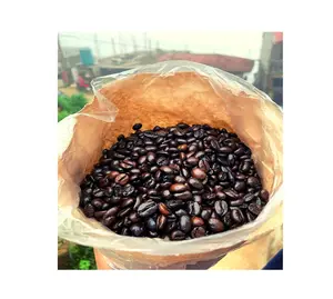 Specialty High Quality Ground Wholesale Green 100% Arabica Variety Coffee Beans Coffee