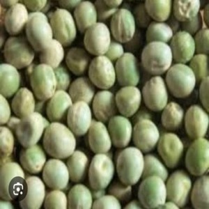 ถั่วลันเตาเขียวออร์แกนิคพรีเมียม (มูนดัล) คัดแยกคุณภาพสูง โปรตีนสูง จำหน่ายส่ง B2B - Product Image 1