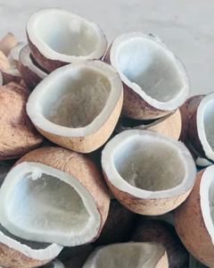 มะพร้าวแห้งสำหรับสกัดน้ำมัน - Product Image 6